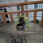 Dina Apartment *
