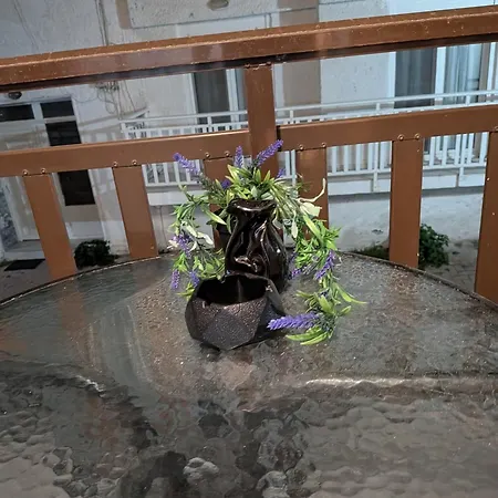 Dina Appartement *